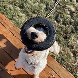 Meet your Posher, Shannon